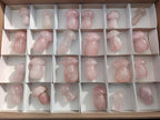 Polished Gemmy Rose Quartz Mushrooms x 24 From Madagascar