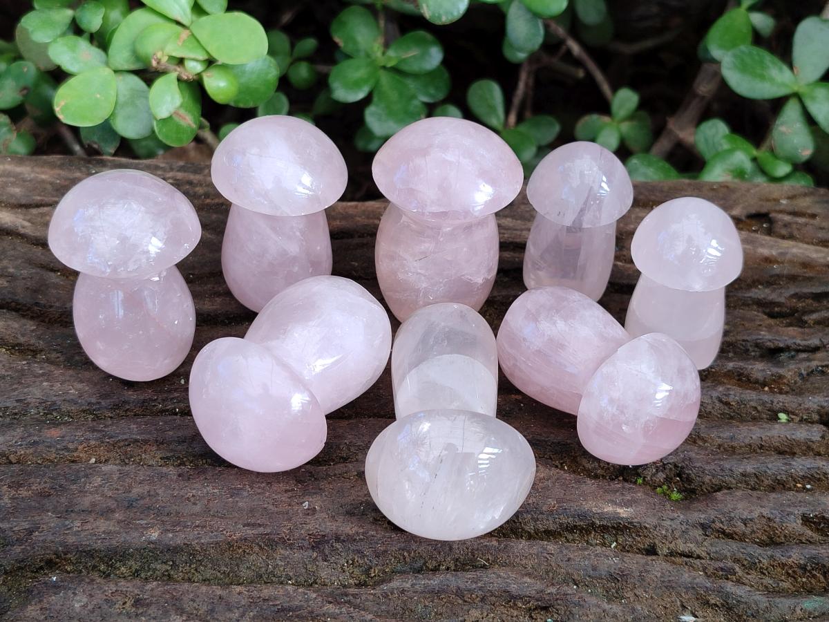 Polished Gemmy Rose Quartz Mushrooms x 24 From Madagascar