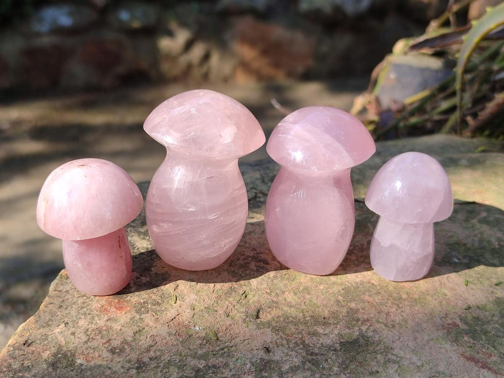 Polished Gemmy Rose Quartz Mushrooms x 24 From Madagascar