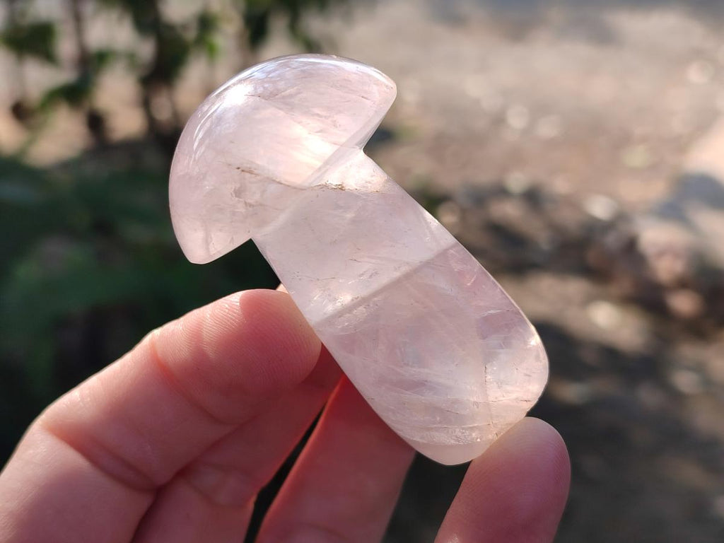 Polished Gemmy Rose Quartz Mushrooms x 24 From Madagascar