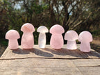 Polished Gemmy Rose Quartz Mushrooms x 24 From Madagascar