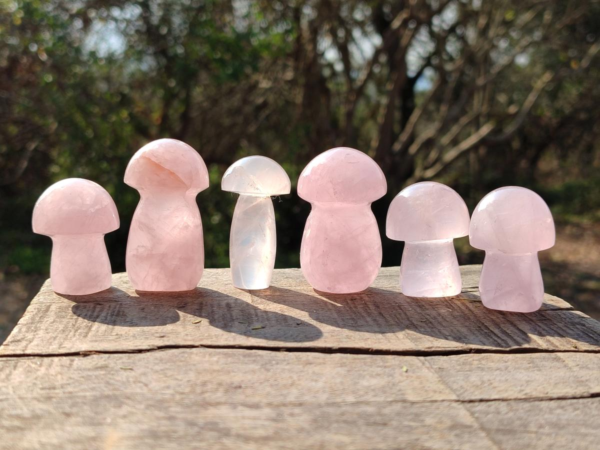 Polished Gemmy Rose Quartz Mushrooms x 24 From Madagascar