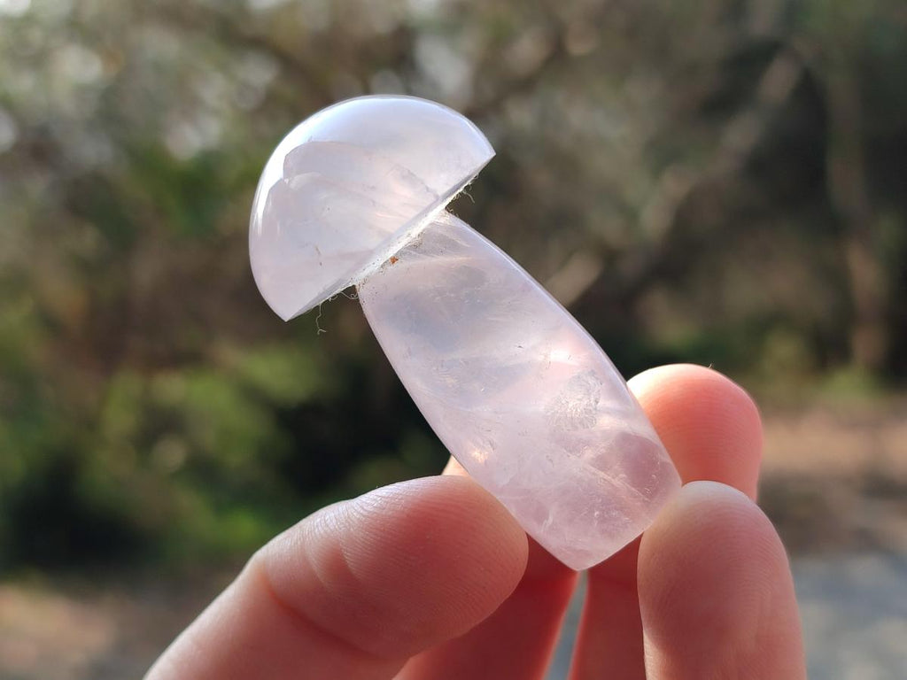 Polished Gemmy Rose Quartz Mushrooms x 24 From Madagascar