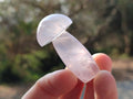 Polished Gemmy Rose Quartz Mushrooms x 24 From Madagascar