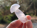 Polished Gemmy Rose Quartz Mushrooms x 24 From Madagascar