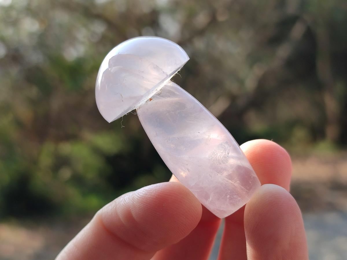 Polished Gemmy Rose Quartz Mushrooms x 24 From Madagascar