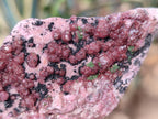 Natural Spherocobaltite Specimens x 6 From Musonoi Mine, Congo
