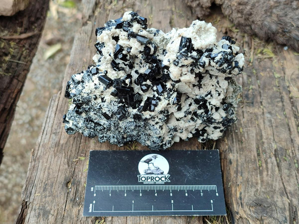 Natural Cabinet Sized Schorl Black Tourmaline Specimens with Feldspar x 3 From Erongo, Namibia
