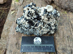 Natural Cabinet Sized Schorl Black Tourmaline Specimens with Feldspar x 3 From Erongo, Namibia