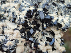 Natural Cabinet Sized Schorl Black Tourmaline Specimens with Feldspar x 3 From Erongo, Namibia