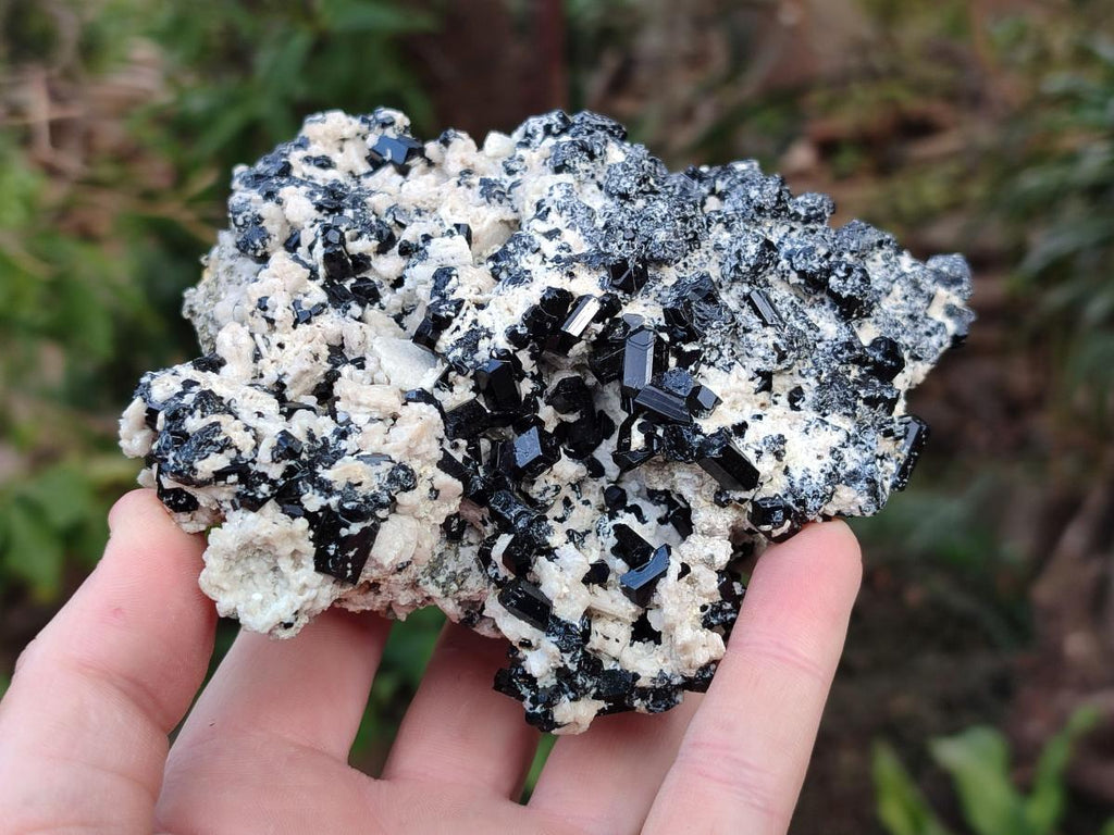 Natural Cabinet Sized Schorl Black Tourmaline Specimens with Feldspar x 3 From Erongo, Namibia