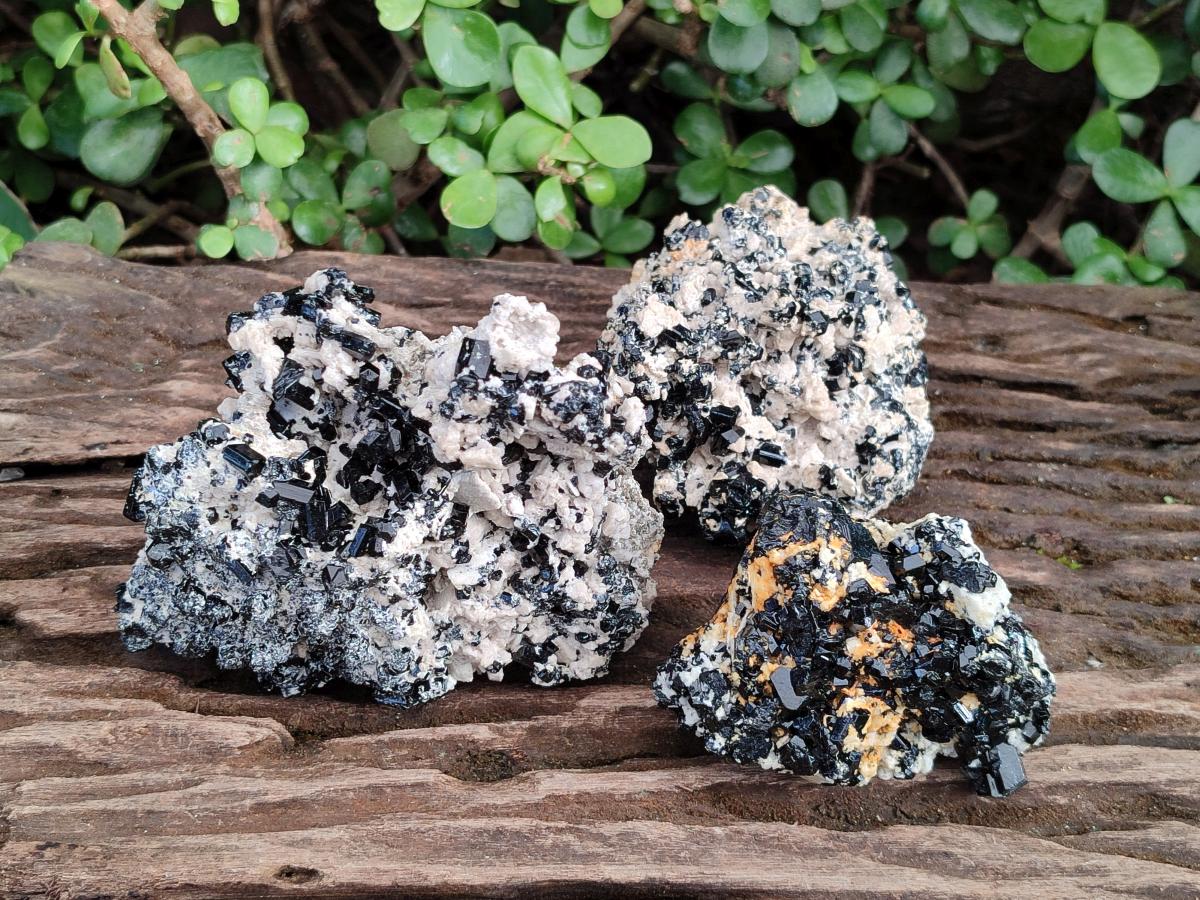 Natural Cabinet Sized Schorl Black Tourmaline Specimens with Feldspar x 3 From Erongo, Namibia