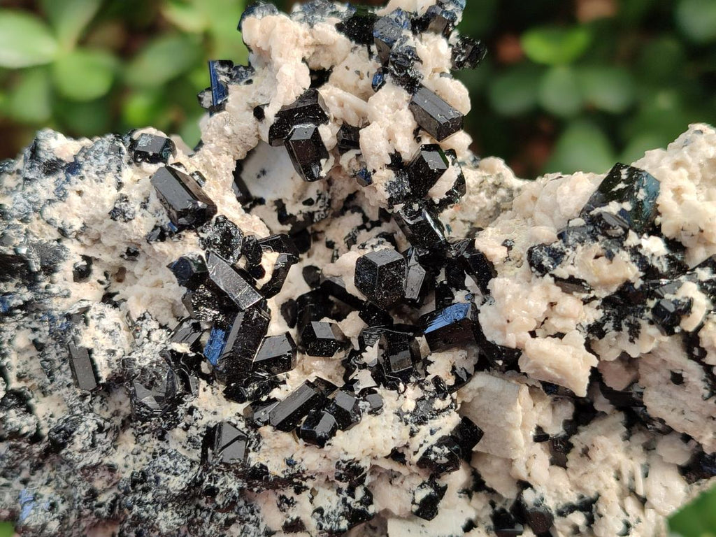 Natural Cabinet Sized Schorl Black Tourmaline Specimens with Feldspar x 3 From Erongo, Namibia
