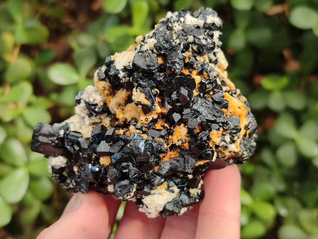 Natural Cabinet Sized Schorl Black Tourmaline Specimens with Feldspar x 3 From Erongo, Namibia