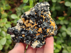 Natural Cabinet Sized Schorl Black Tourmaline Specimens with Feldspar x 3 From Erongo, Namibia