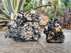 Natural Cabinet Sized Schorl Black Tourmaline Specimens with Feldspar x 3 From Erongo, Namibia