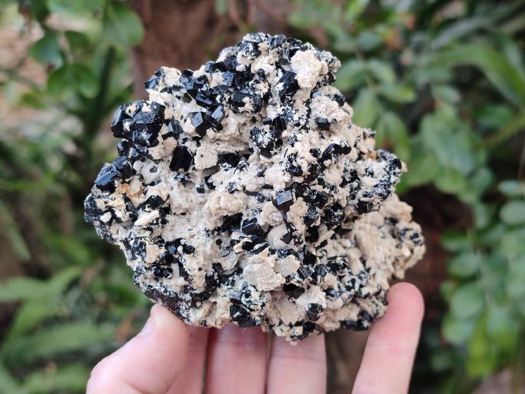 Natural Cabinet Sized Schorl Black Tourmaline Specimens with Feldspar x 3 From Erongo, Namibia