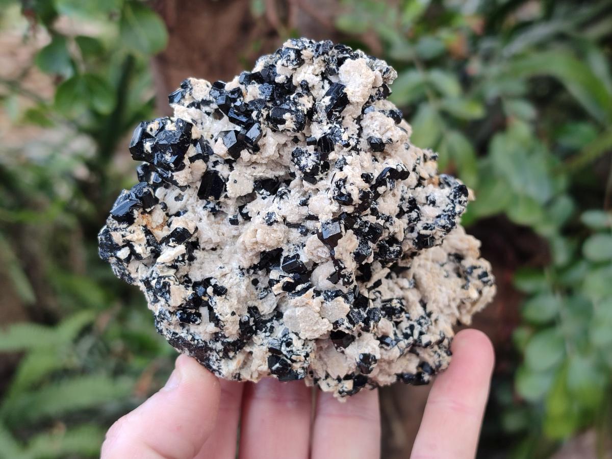 Natural Cabinet Sized Schorl Black Tourmaline Specimens with Feldspar x 3 From Erongo, Namibia