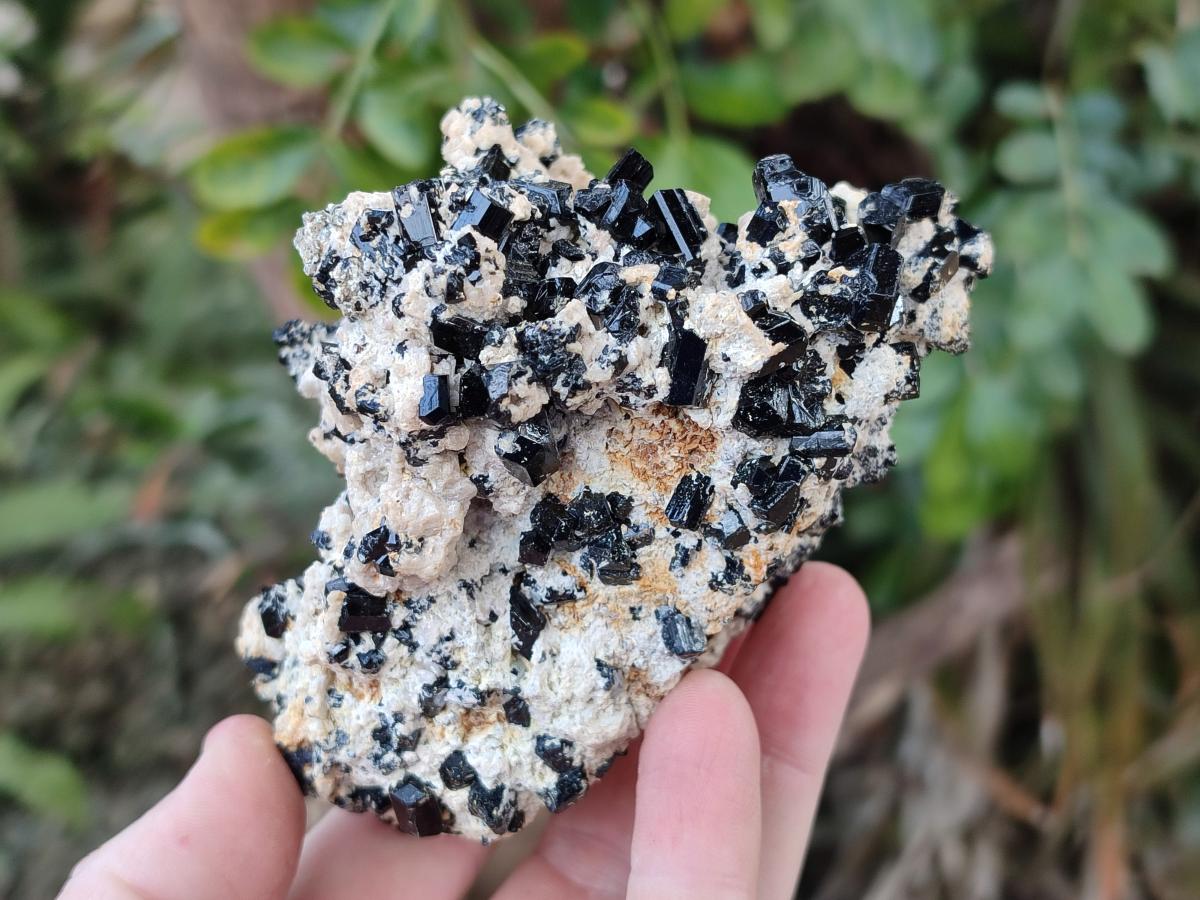 Natural Cabinet Sized Schorl Black Tourmaline Specimens with Feldspar x 3 From Erongo, Namibia