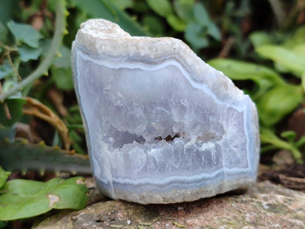Polished One Side Blue Lace Agate Geodes x 12 From Nsanje, Malawi