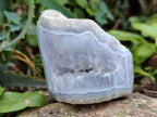 Polished One Side Blue Lace Agate Geodes x 12 From Nsanje, Malawi