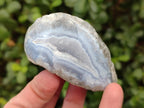 Polished One Side Blue Lace Agate Geodes x 12 From Nsanje, Malawi