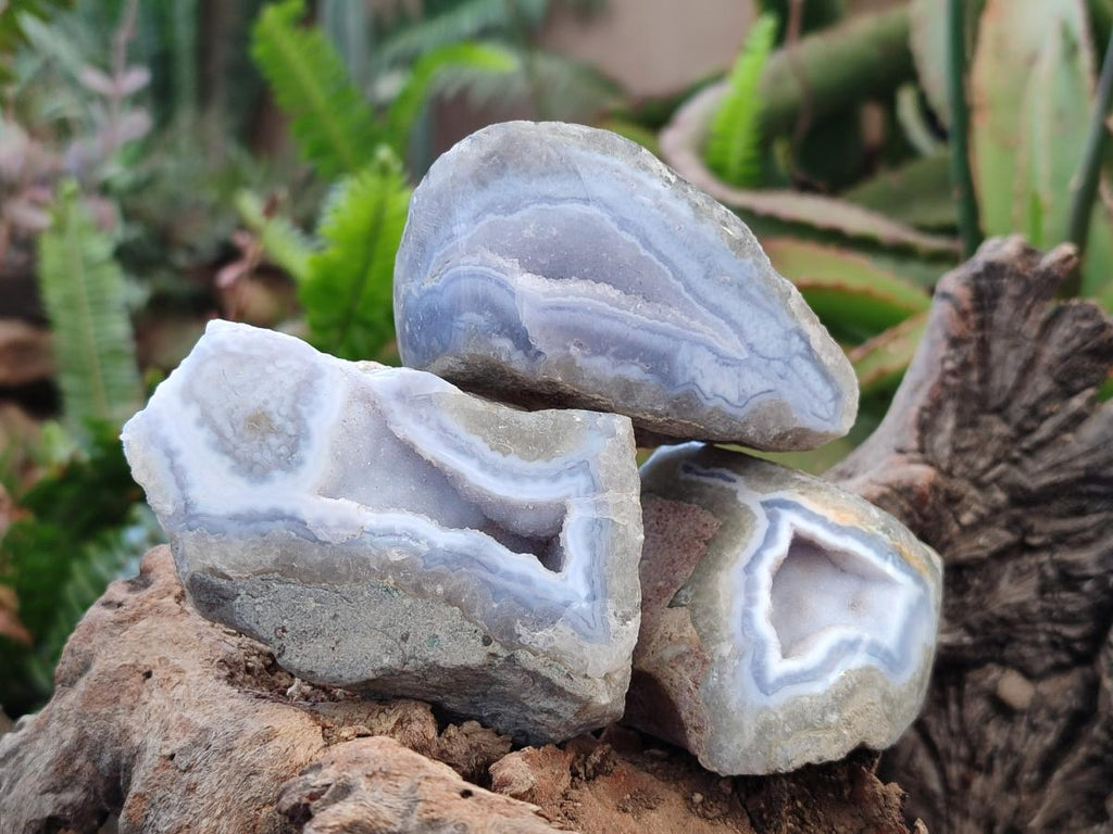 Polished One Side Blue Lace Agate Geodes x 12 From Nsanje, Malawi