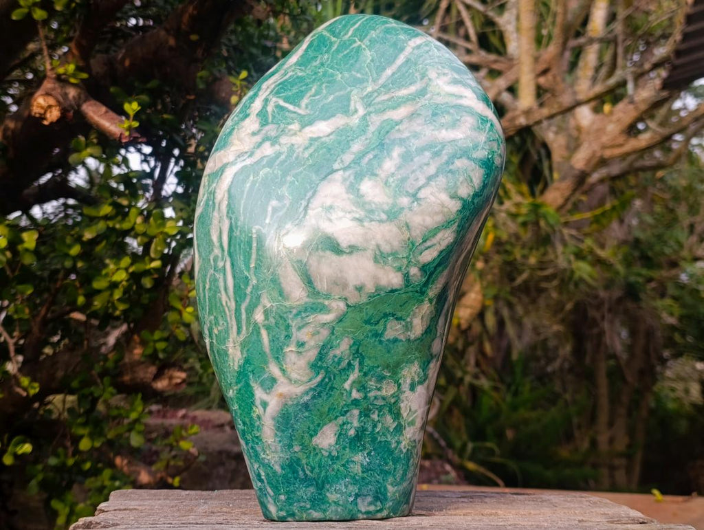 Polished XL Buddstone Standing Display Piece x 1 From Swaziland