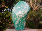 Polished XL Buddstone Standing Display Piece x 1 From Swaziland