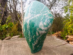 Polished XL Buddstone Standing Display Piece x 1 From Swaziland