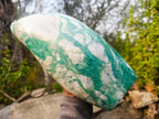 Polished XL Buddstone Standing Display Piece x 1 From Swaziland