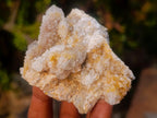 Natural Mix of Spirit Quartz Clusters x 12 From Boekenhouthoek, South Africa