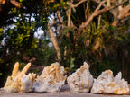 Natural Mix of Spirit Quartz Clusters x 12 From Boekenhouthoek, South Africa
