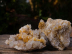 Natural Mix of Spirit Quartz Clusters x 12 From Boekenhouthoek, South Africa