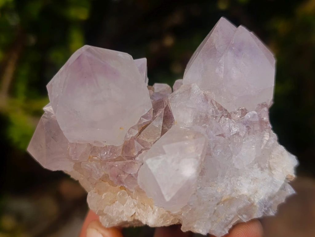 Natural Mix of Spirit Quartz Clusters x 12 From Boekenhouthoek, South Africa