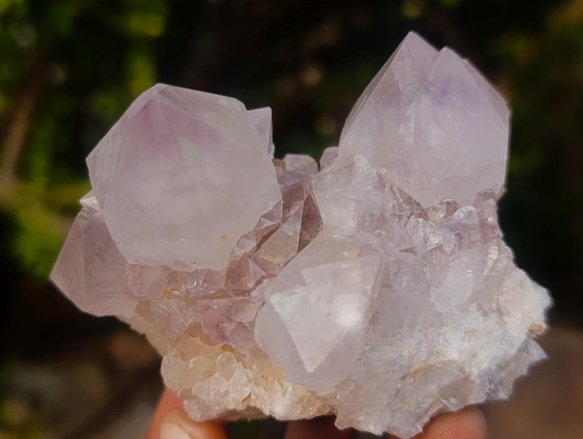 Natural Mix of Spirit Quartz Clusters x 12 From Boekenhouthoek, South Africa