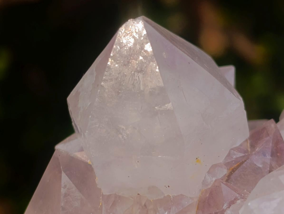 Natural Mix of Spirit Quartz Clusters x 12 From Boekenhouthoek, South Africa