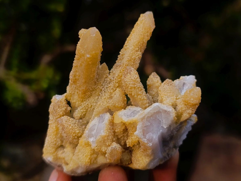 Natural Mix of Spirit Quartz Clusters x 12 From Boekenhouthoek, South Africa