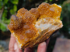 Natural Mix of Spirit Quartz Clusters x 12 From Boekenhouthoek, South Africa