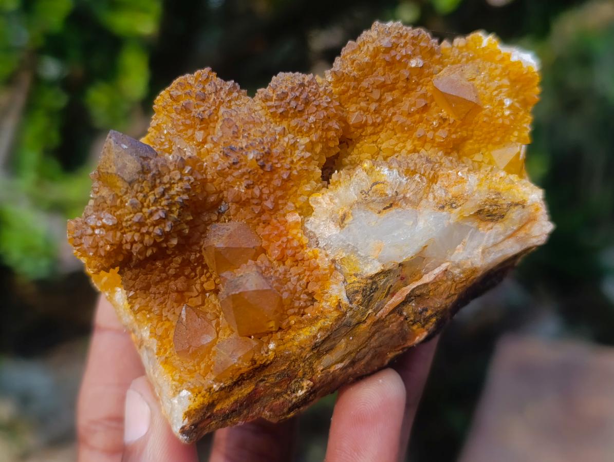 Natural Mix of Spirit Quartz Clusters x 12 From Boekenhouthoek, South Africa