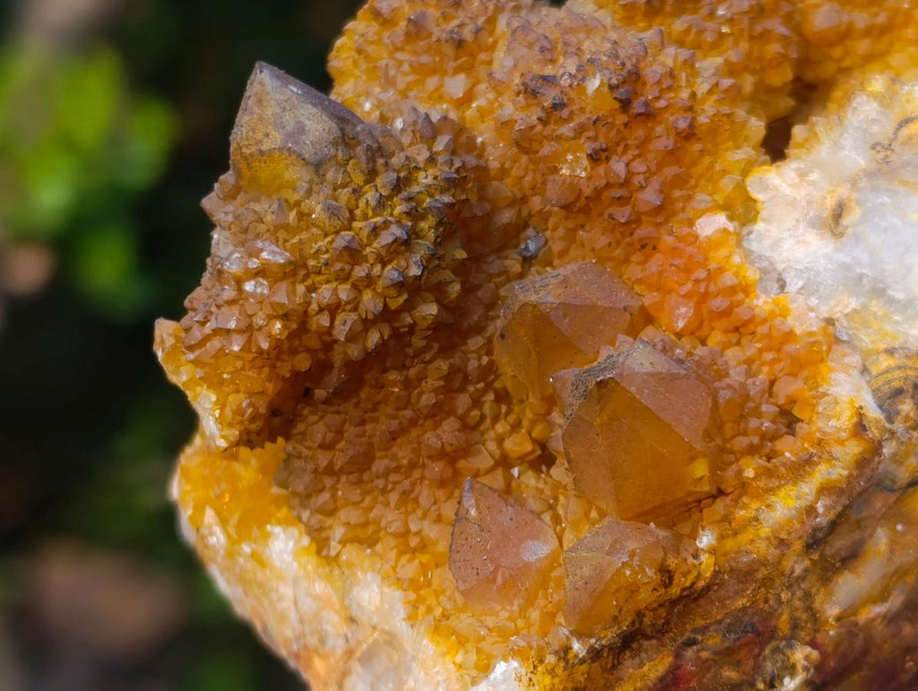 Natural Mix of Spirit Quartz Clusters x 12 From Boekenhouthoek, South Africa