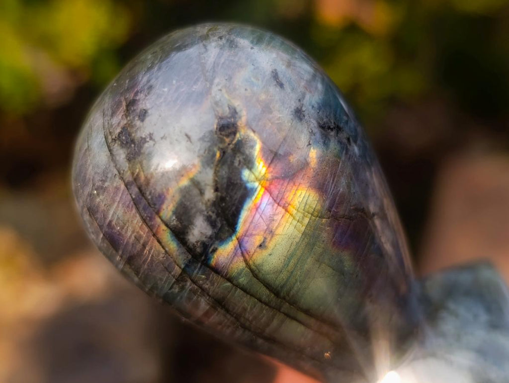 Polished Labradorite Stamp Handles x 11 From Madagascar