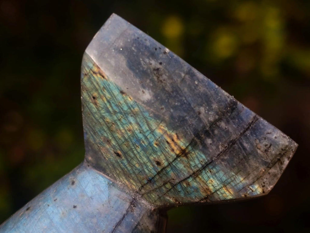Polished Labradorite Stamp Handles x 11 From Madagascar