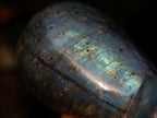 Polished Labradorite Stamp Handles x 11 From Madagascar