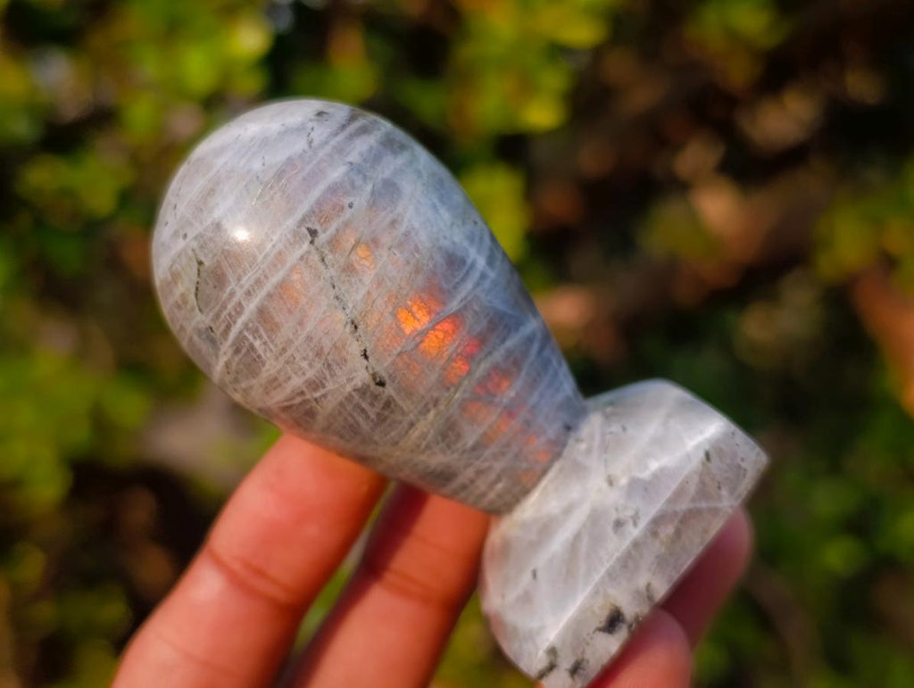Polished Labradorite Stamp Handles x 11 From Madagascar