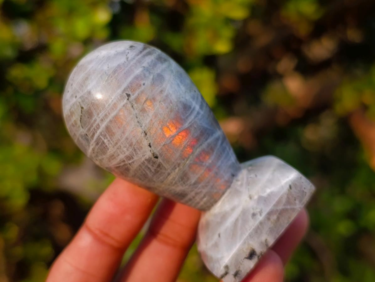 Polished Labradorite Stamp Handles x 11 From Madagascar