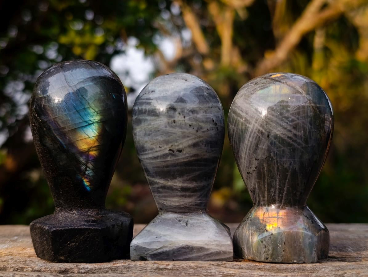 Polished Labradorite Stamp Handles x 11 From Madagascar