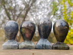 Polished Labradorite Stamp Handles x 11 From Madagascar