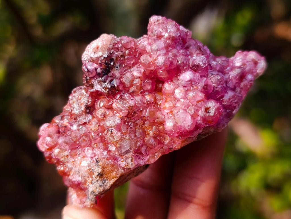 Natural Spherocobaltite Specimens x 12 From Musonoi Mine, Congo