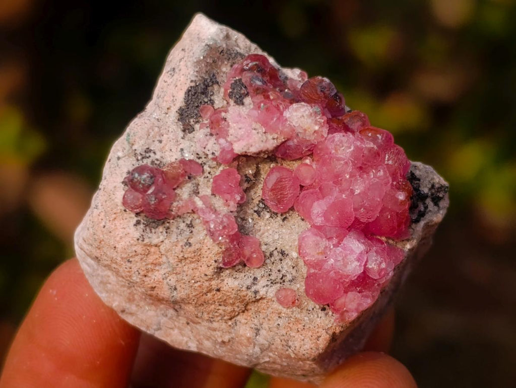 Natural Spherocobaltite Specimens x 12 From Musonoi Mine, Congo